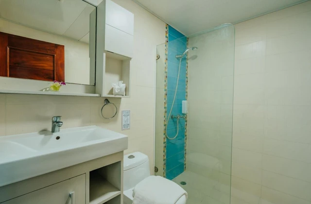 Green Coats Hotel Punta Cana Room Bathroom